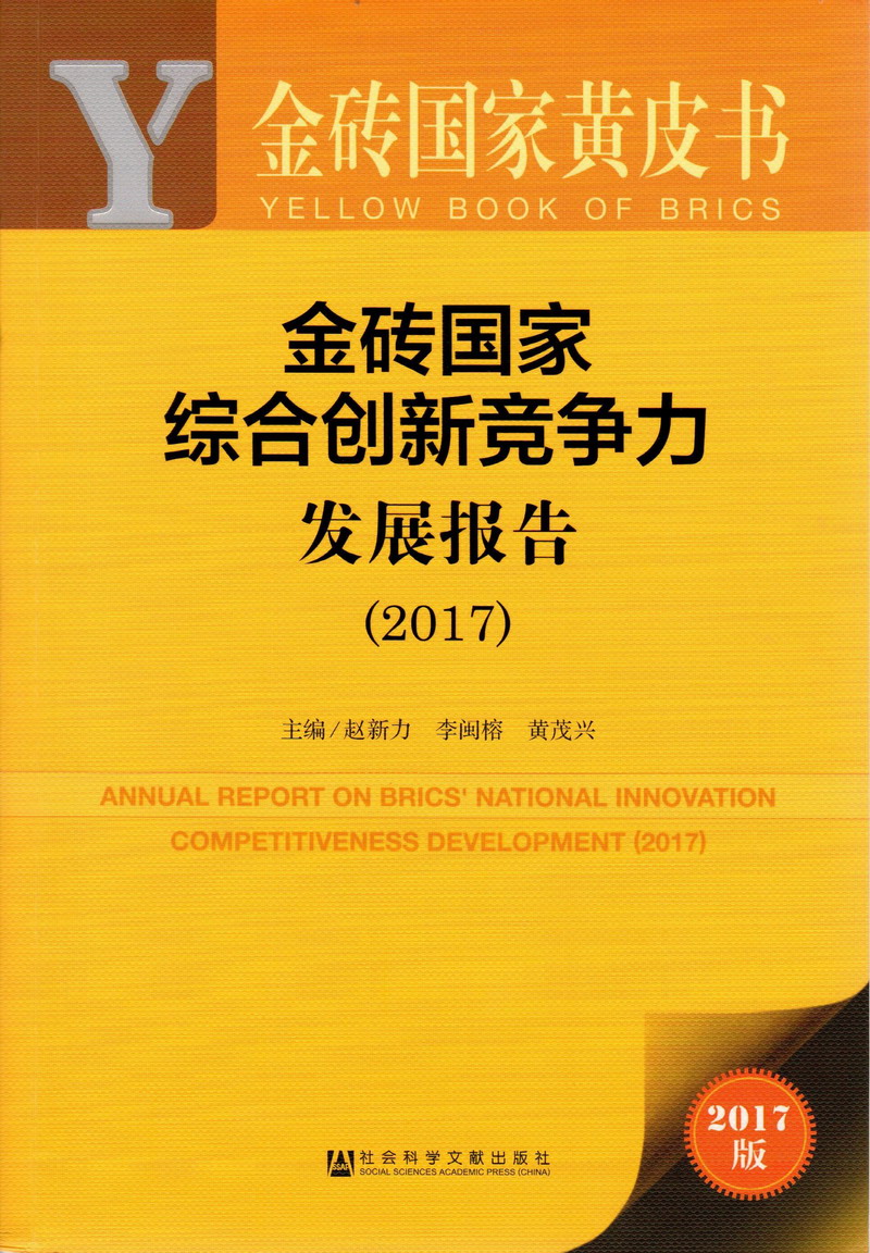 白虎美女被胶带捆绑后毫无间断金砖国家综合创新竞争力发展报告（2017）